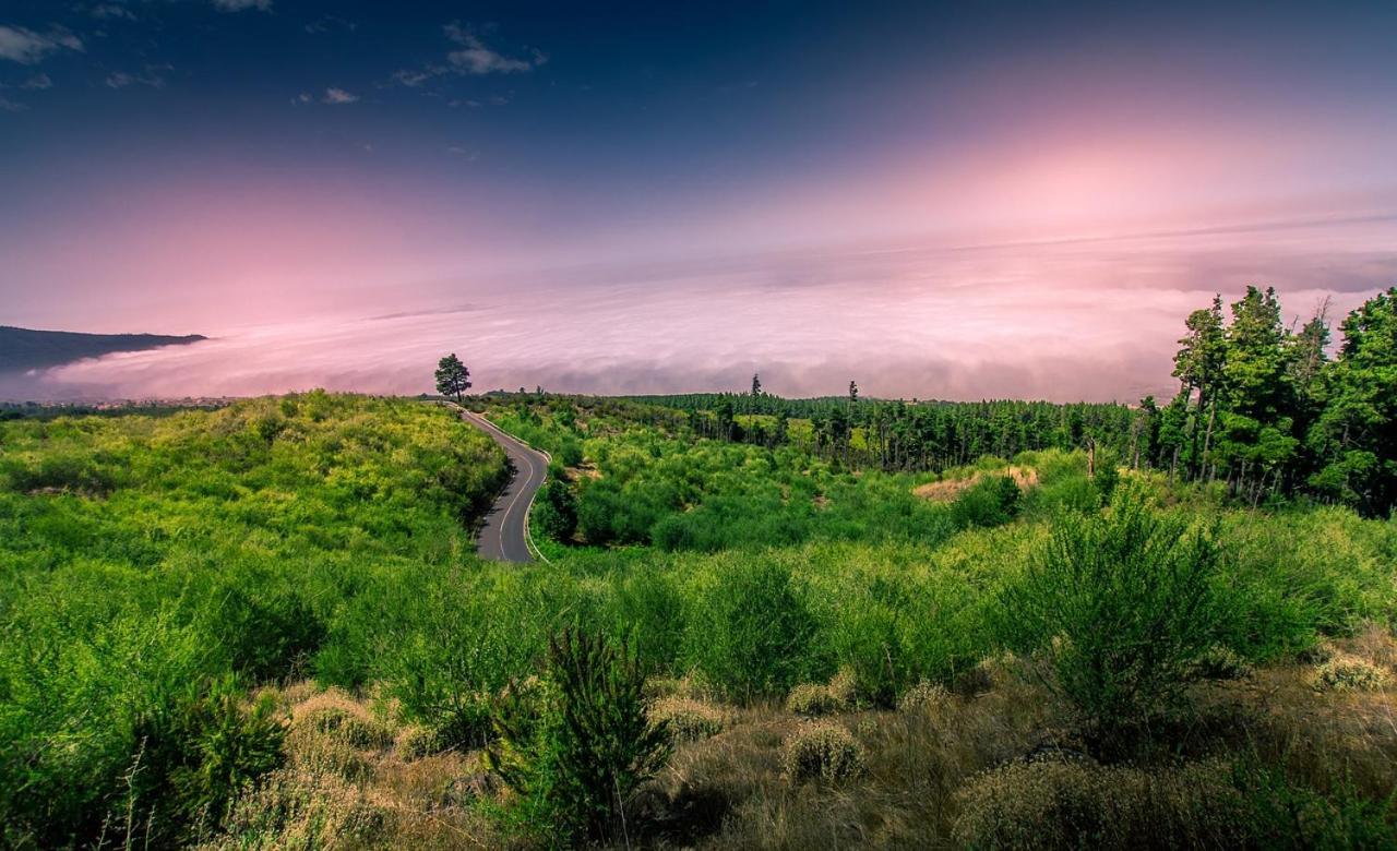 Tenerife Holidays 아데제 외부 사진