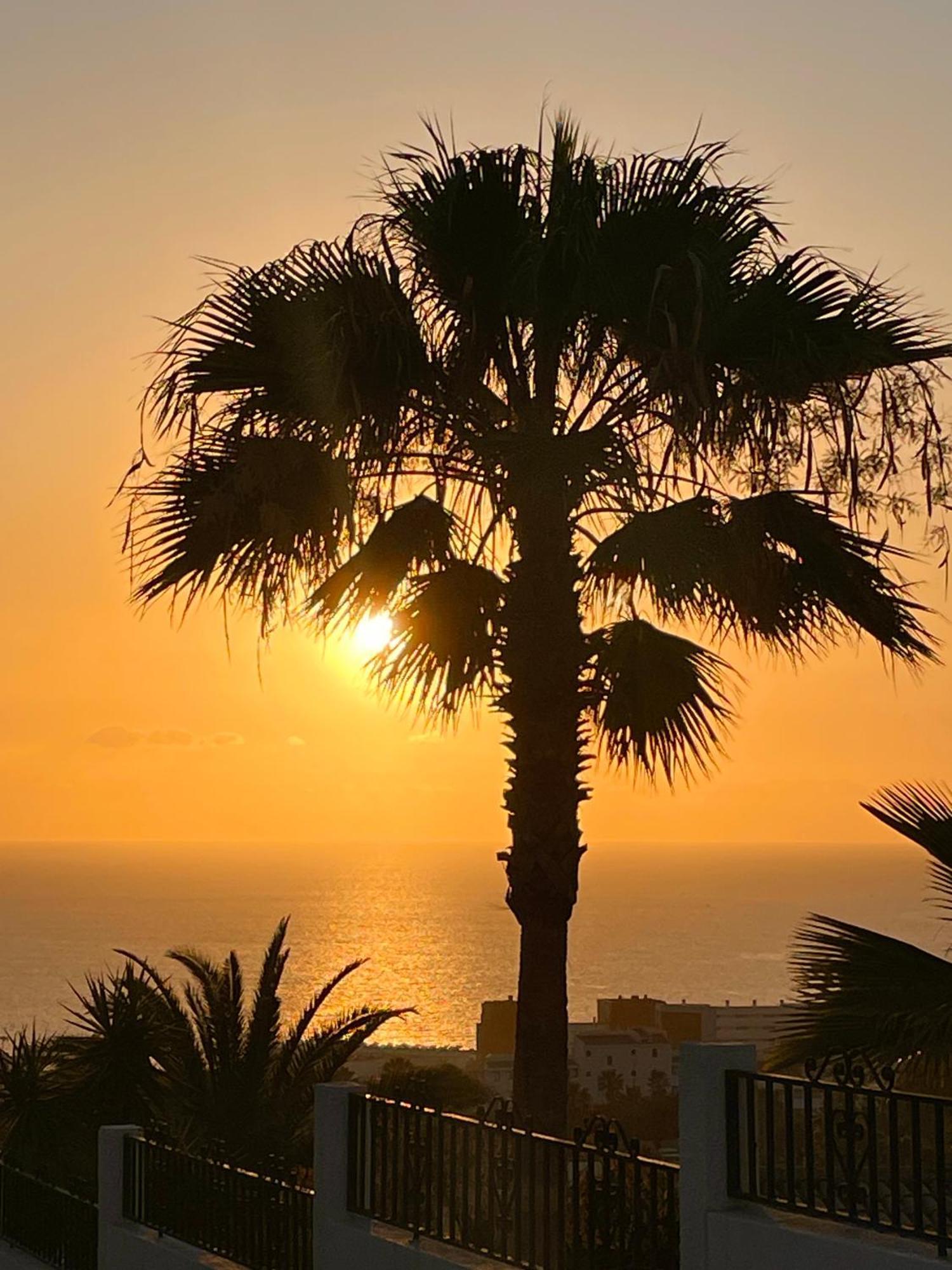 Tenerife Holidays 아데제 외부 사진